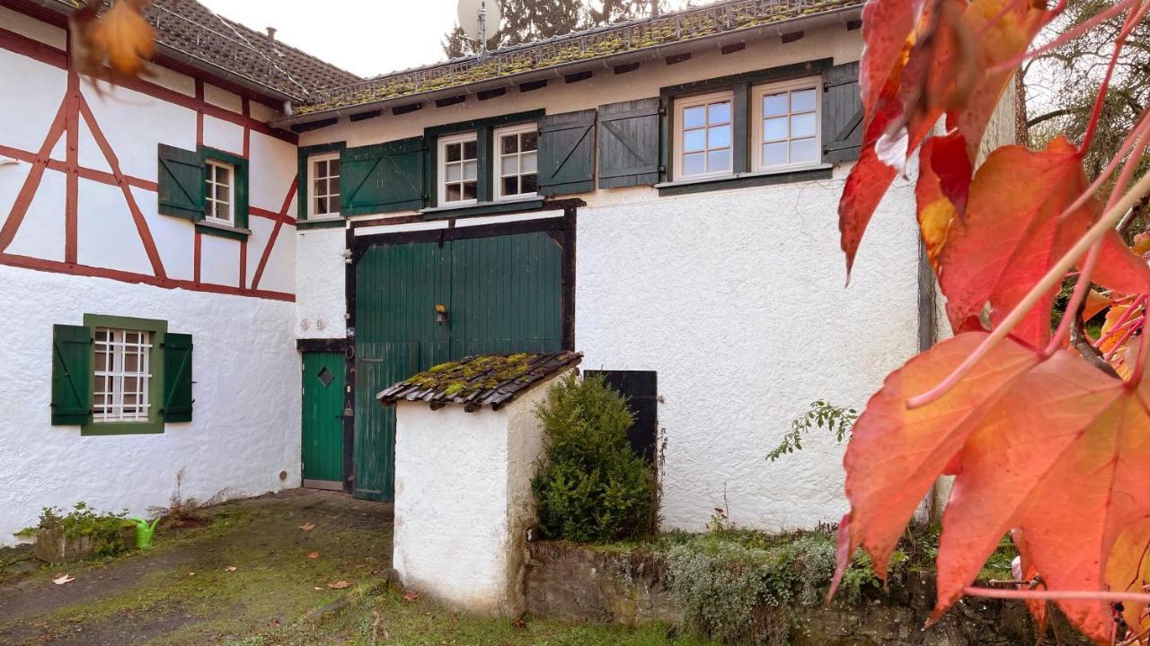 Zum Goldenen Schaf II Appartement Ahrdorf Buitenkant foto